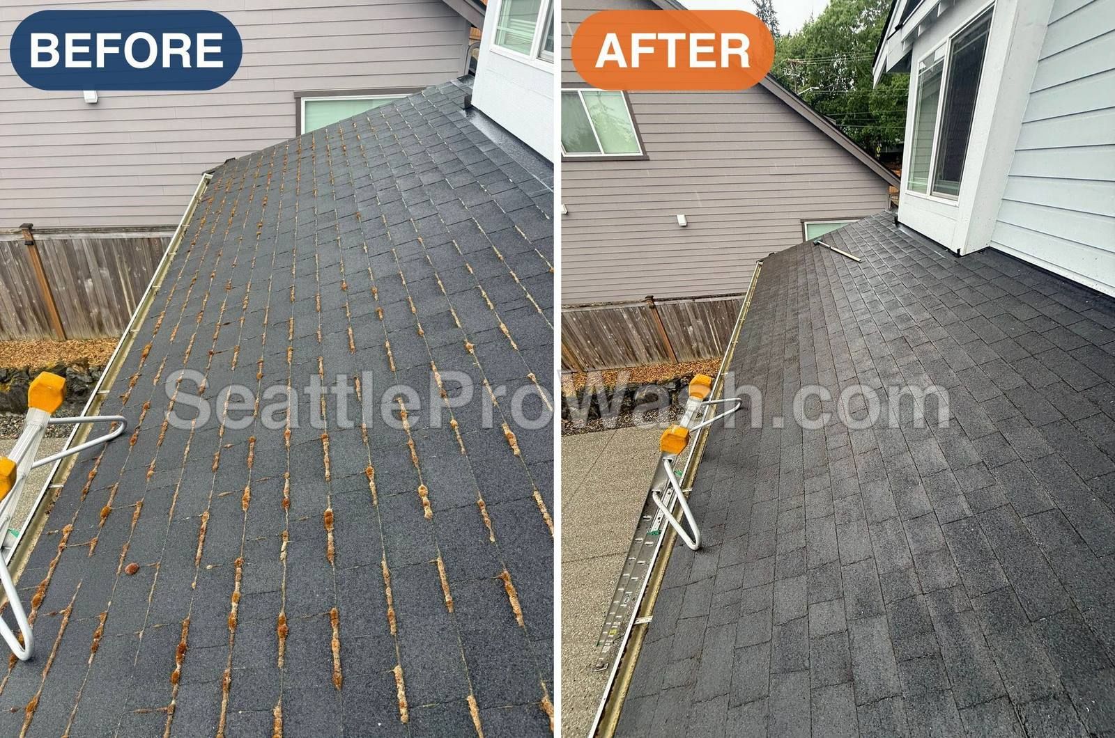 Asphalt roof with moss in every shingle seam, before and after removal and treatment