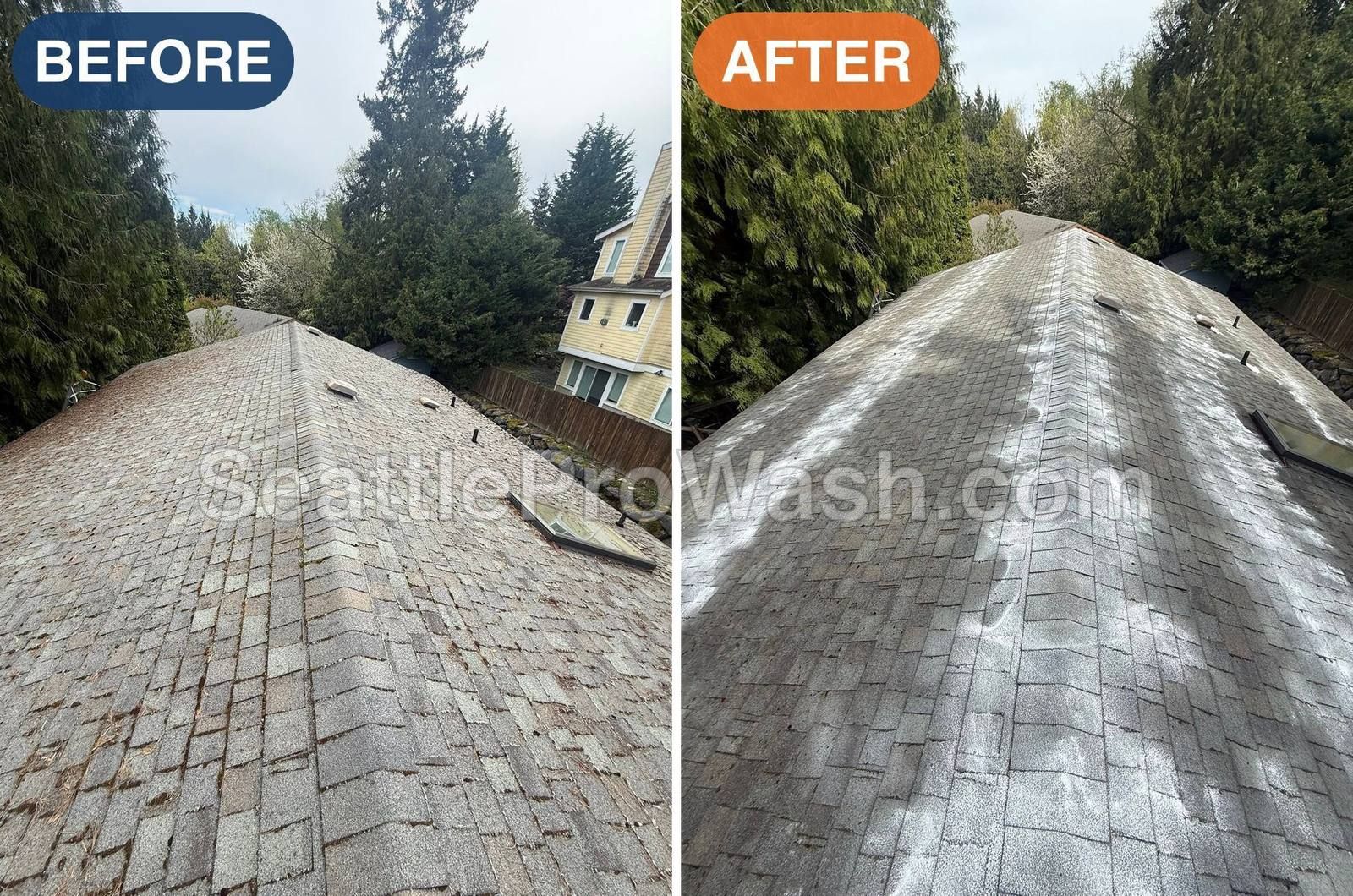 Moss-hazed asphalt ridge before and after moss treatment