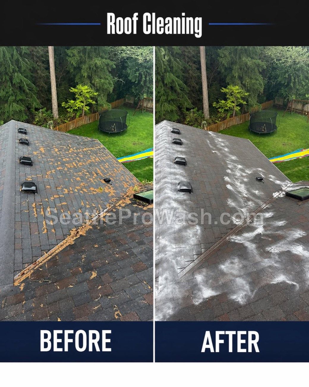 Asphalt roof cleaning before and after with moss and needles removed
