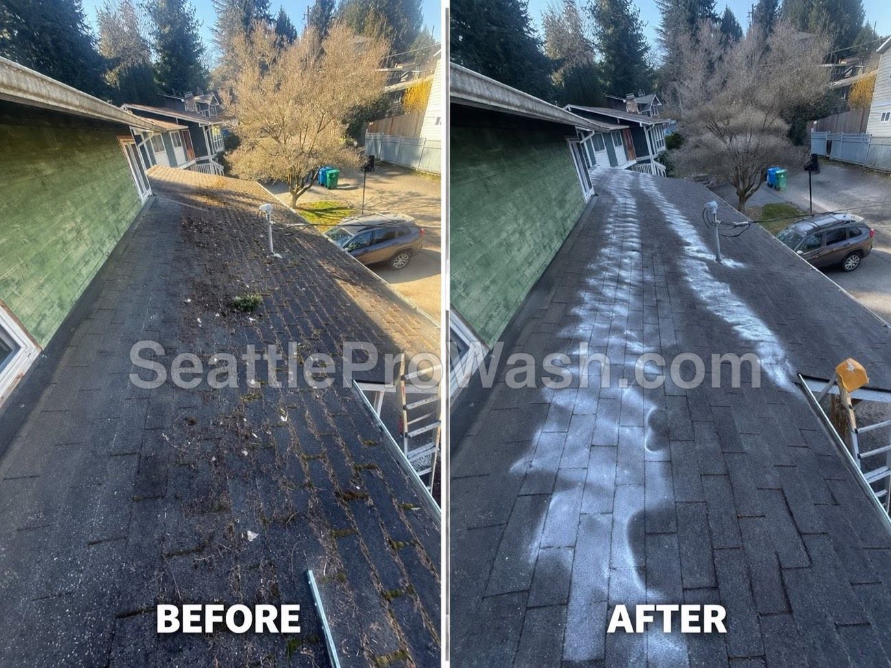 Debris-covered asphalt roof before and after cleaning and treatment