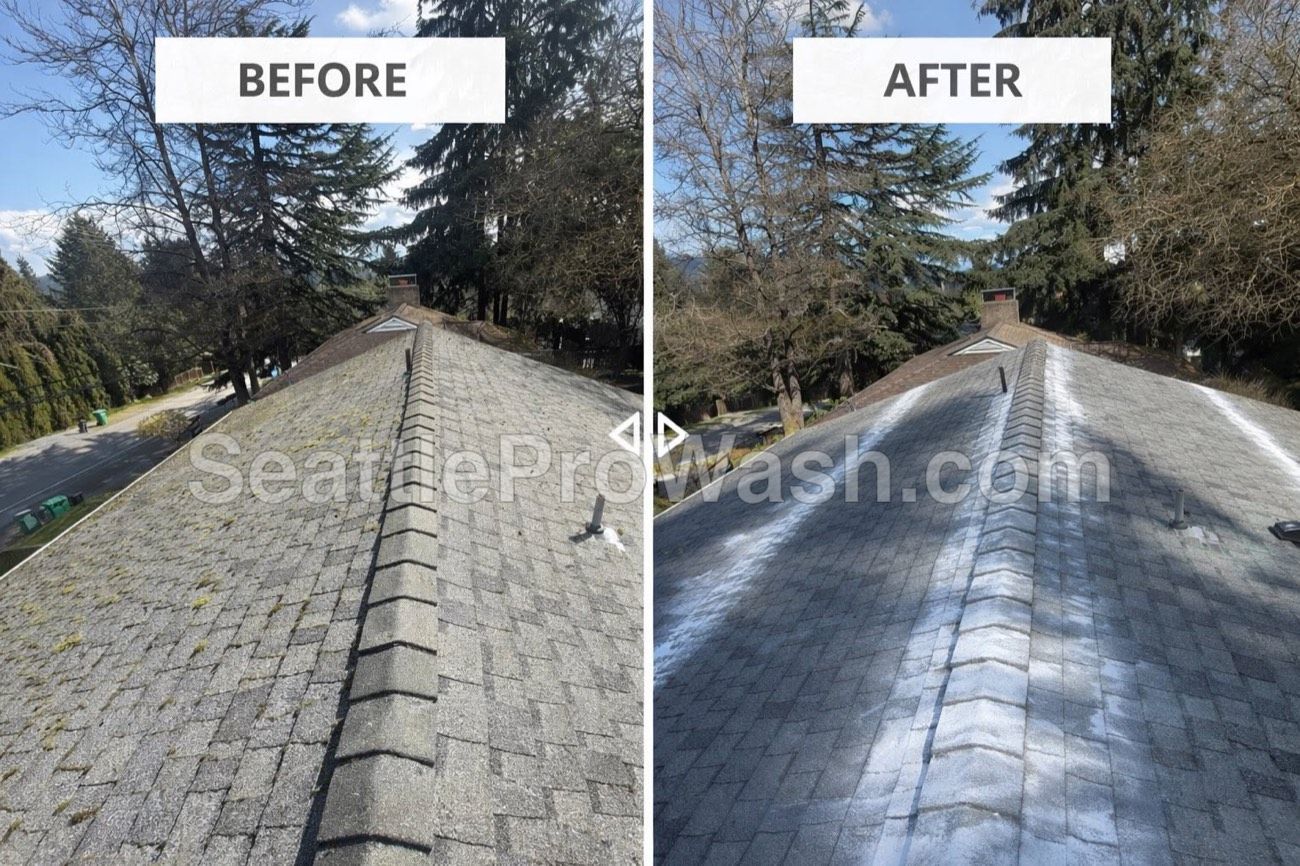 Long mossy roof ridge before and after cleaning and treatment