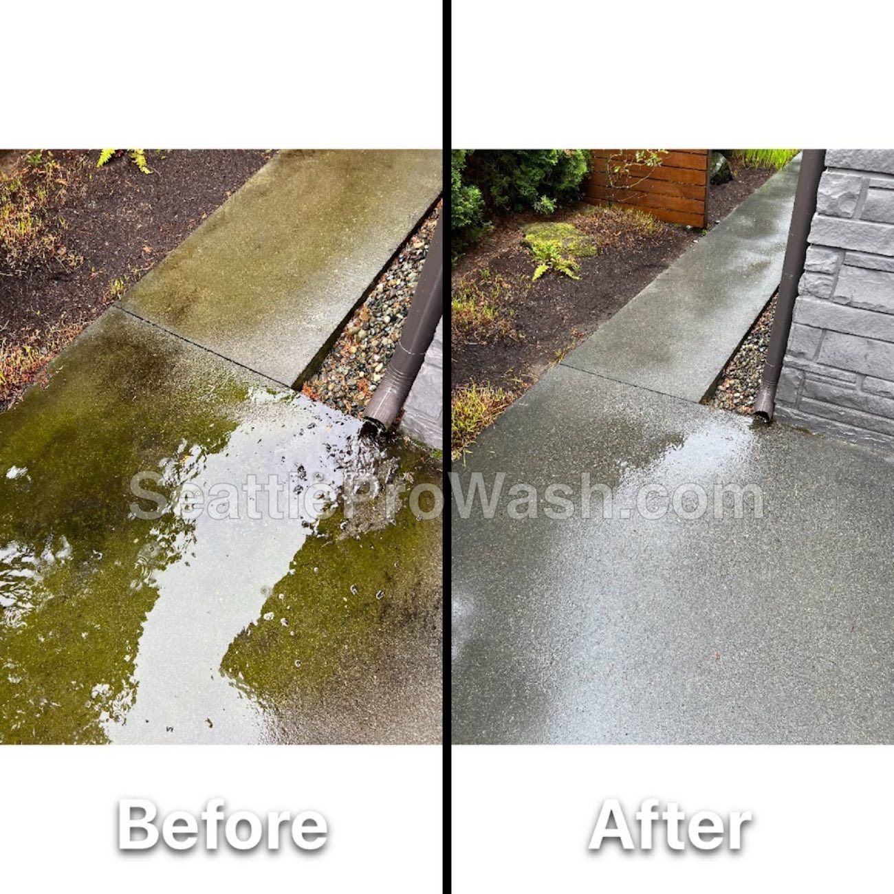 Driveway and concrete cleaning before and after in the Seattle area
