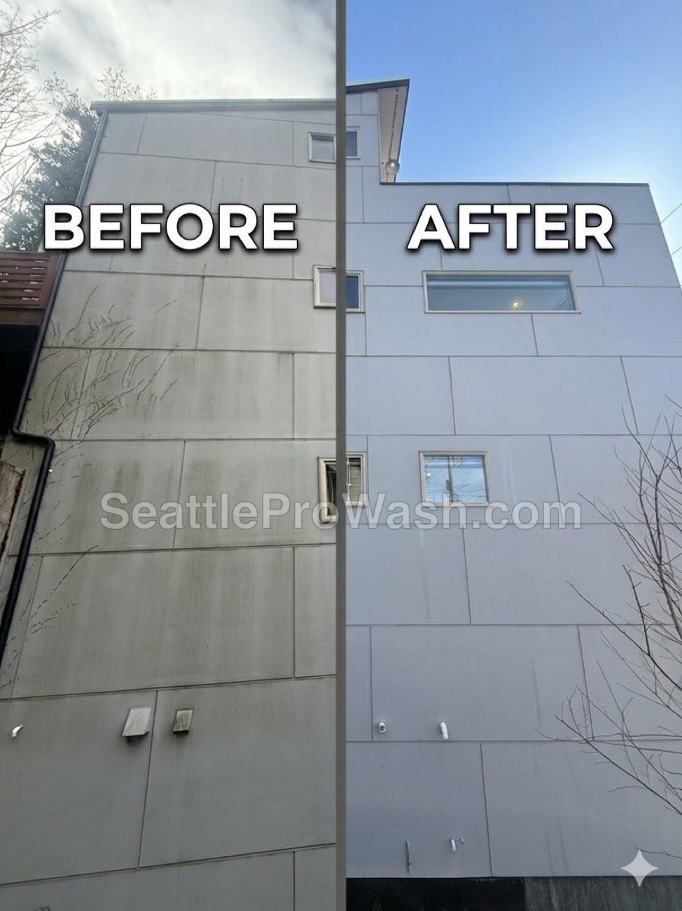 Algae-streaked modern siding before and after house soft washing