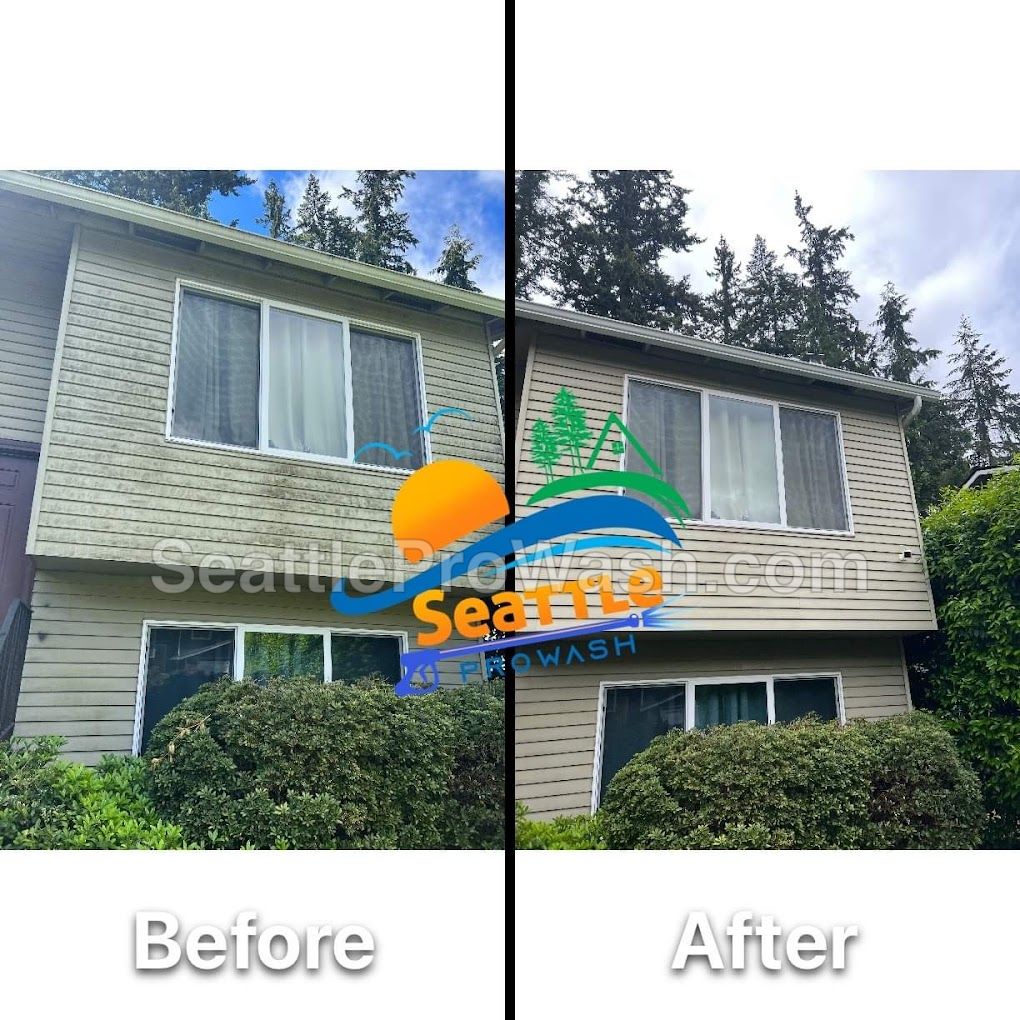 House soft washing before and after on exterior siding