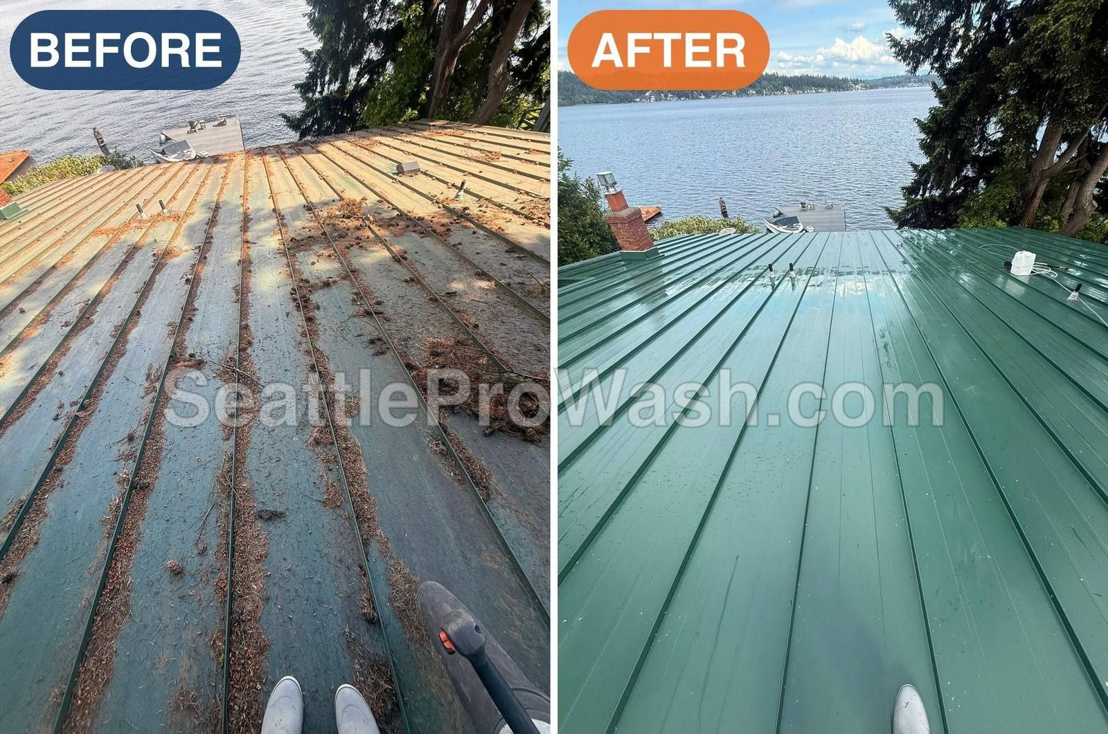 Lakefront metal roof buried in needles, before and after cleaning