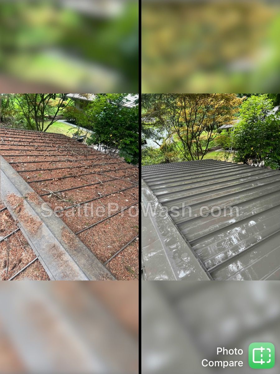Metal roof cleaning transformation in Bellevue