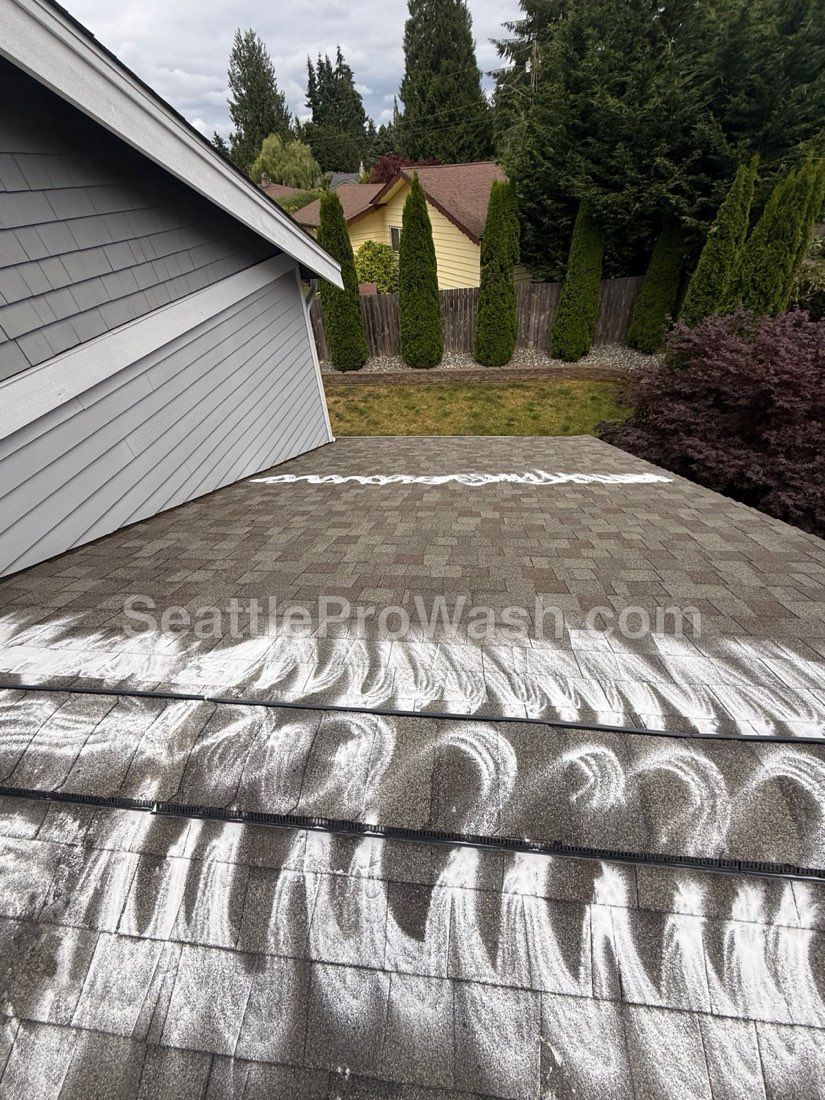 Zinc-based moss treatment freshly applied to a mossy asphalt roof in the Seattle area