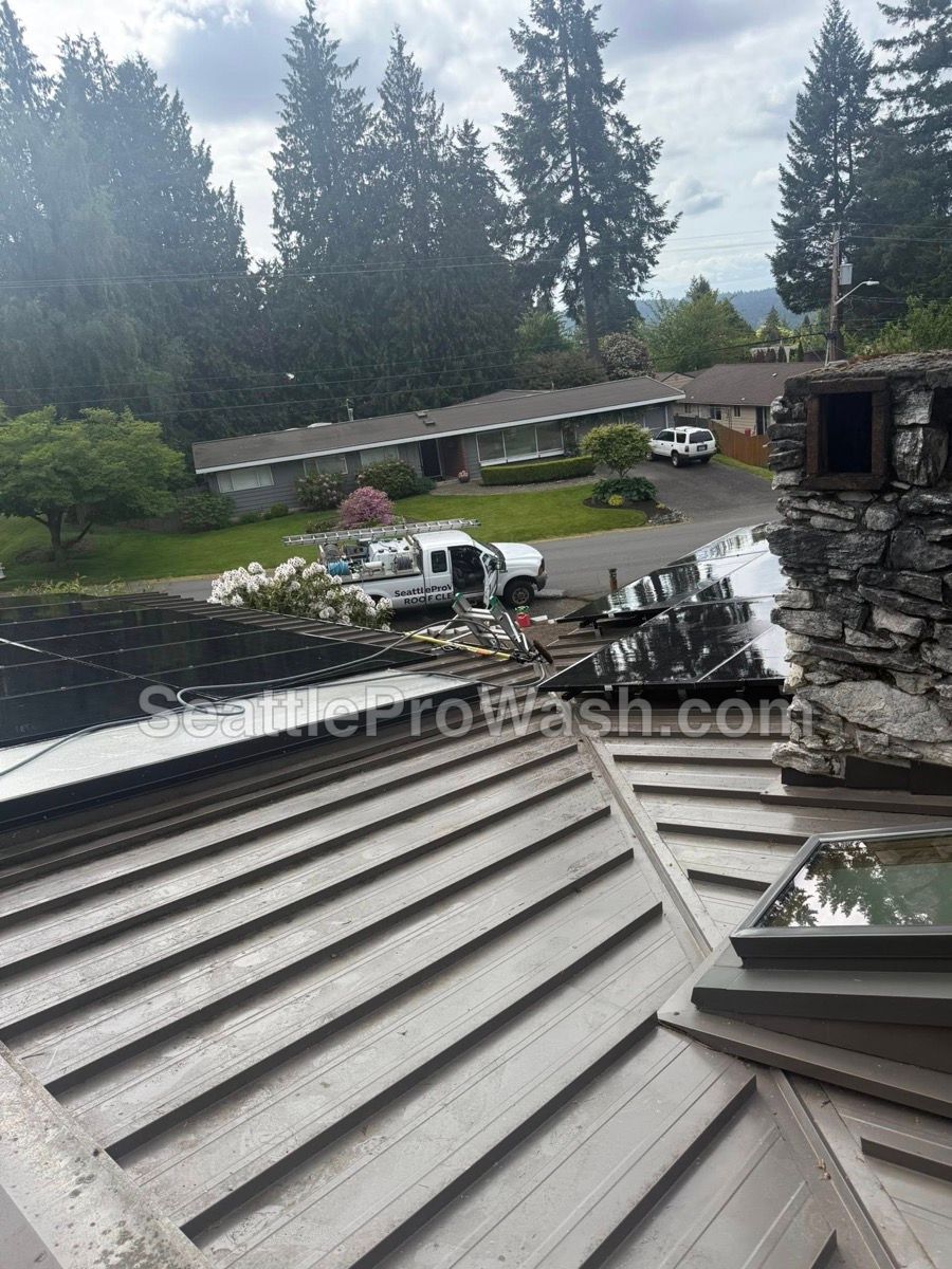 Bellevue metal roof and skylights after specialized cleaning - restored to original condition