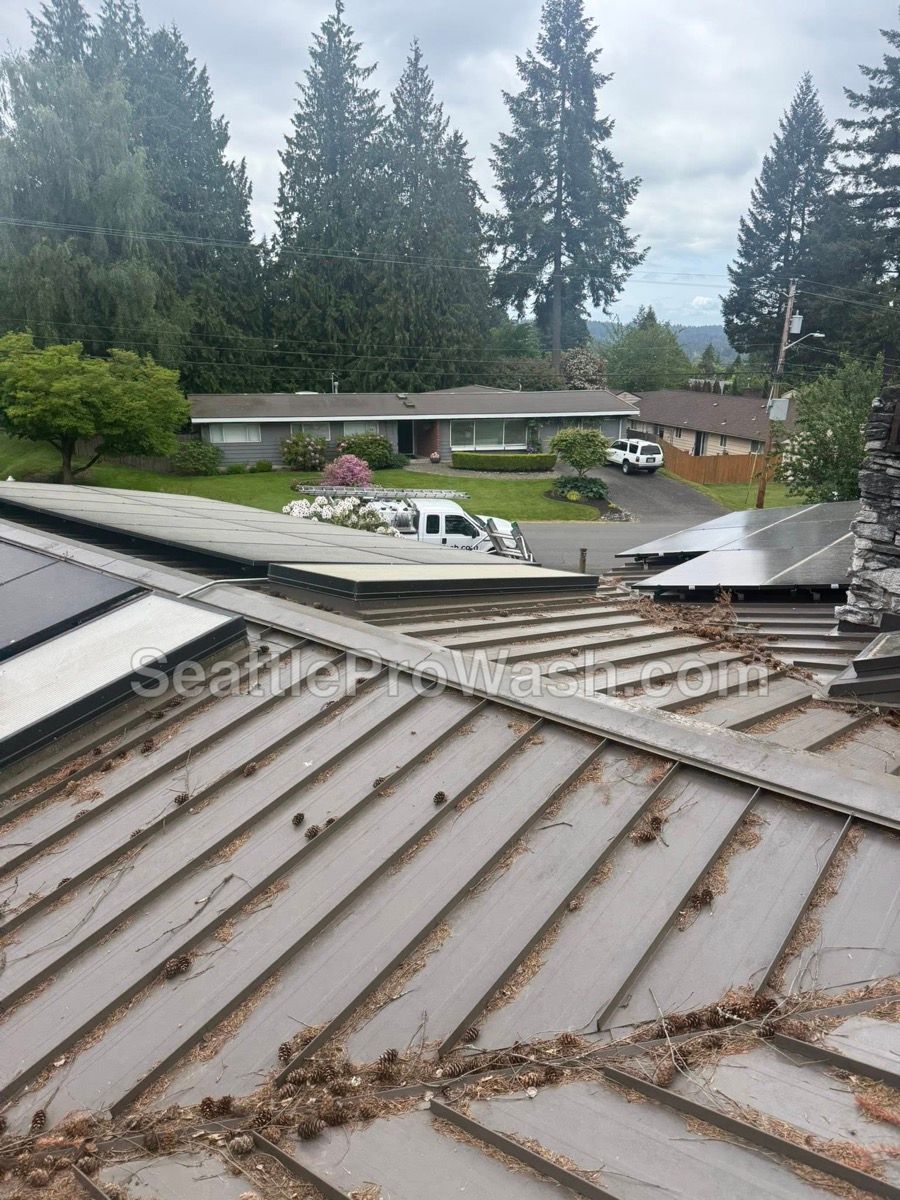 Bellevue metal roof with debris and weathering before professional cleaning