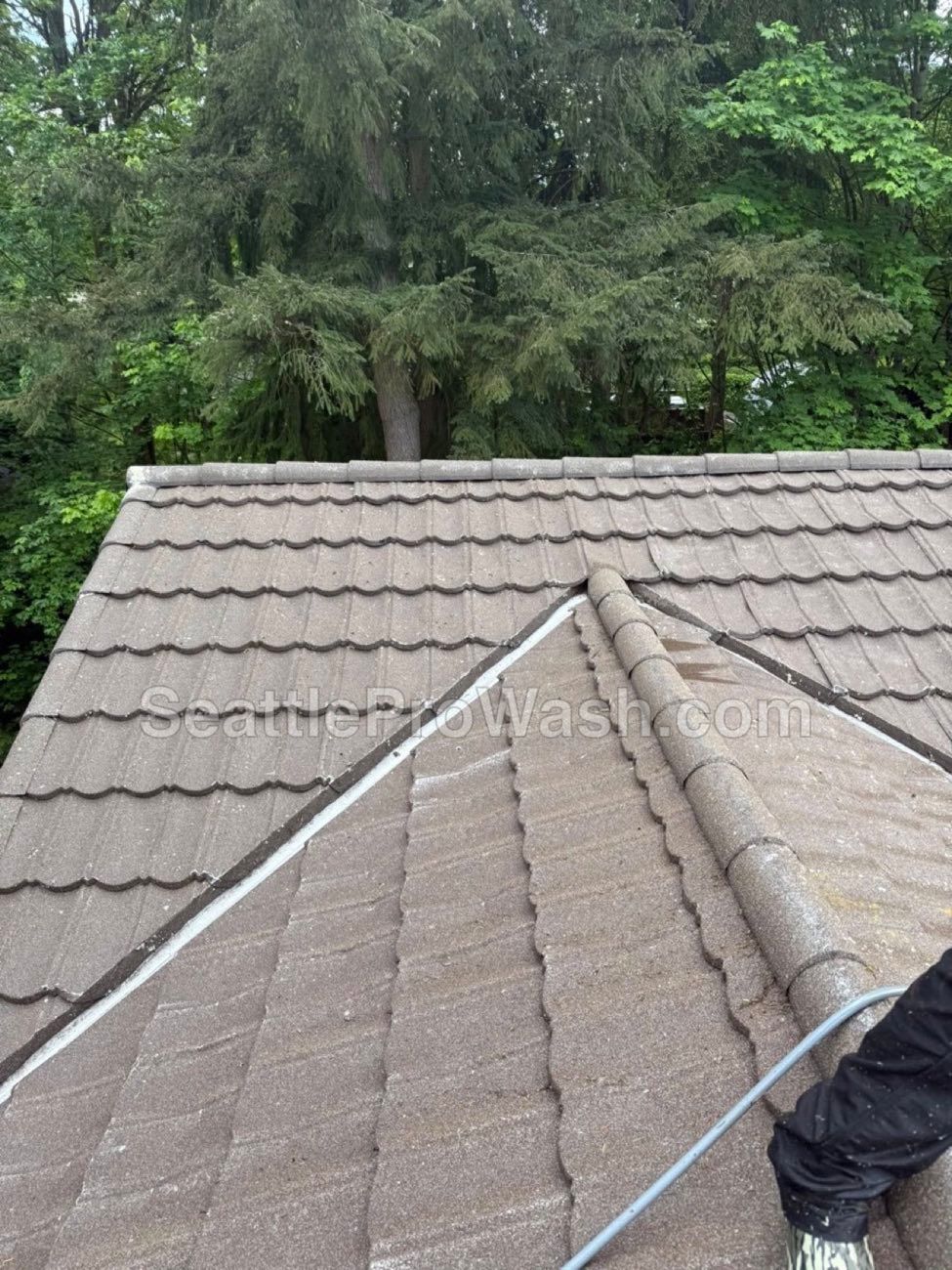 Seattle metal roof after professional moss removal and treatment - clean and restored