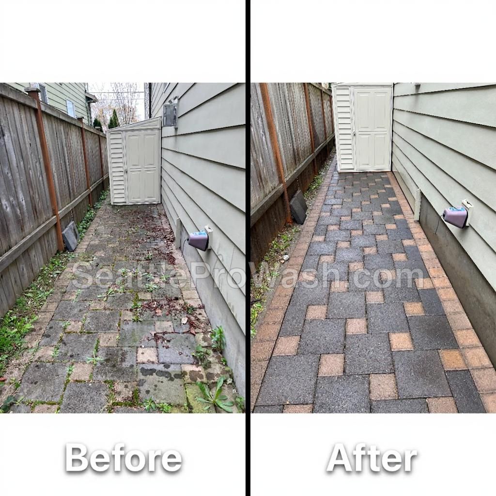 Patio pressure washing before and after - moss and algae removed