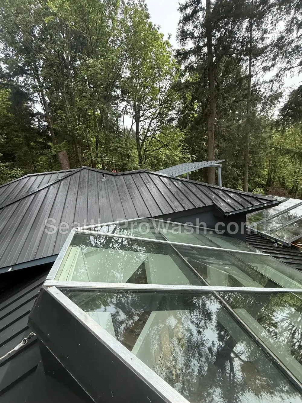 Clean black metal roof after professional roof cleaning