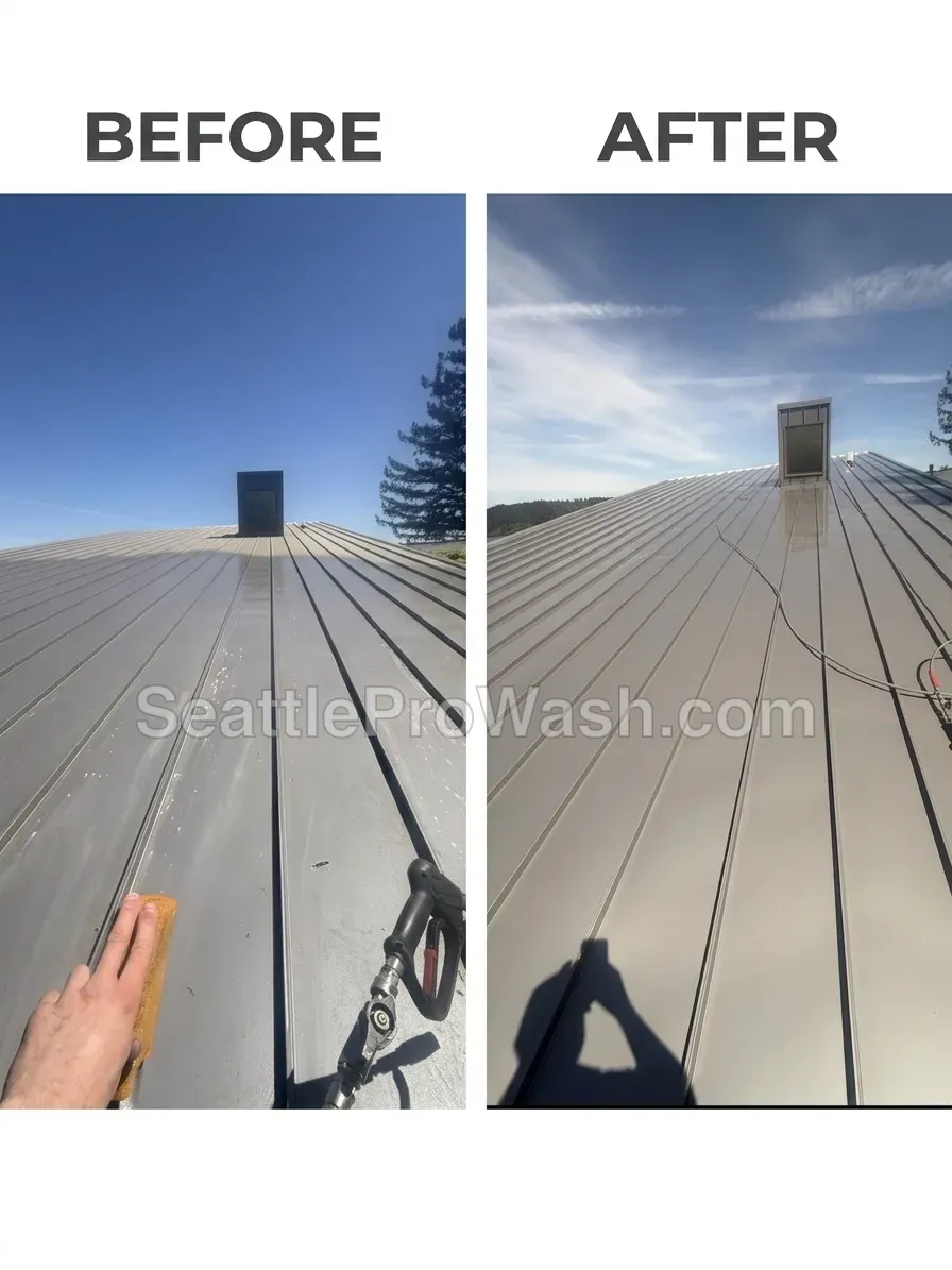 Silver metal roof cleaning before and after
