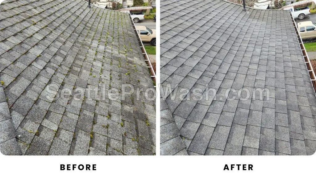 Roof cleaning before and after, moss removal results