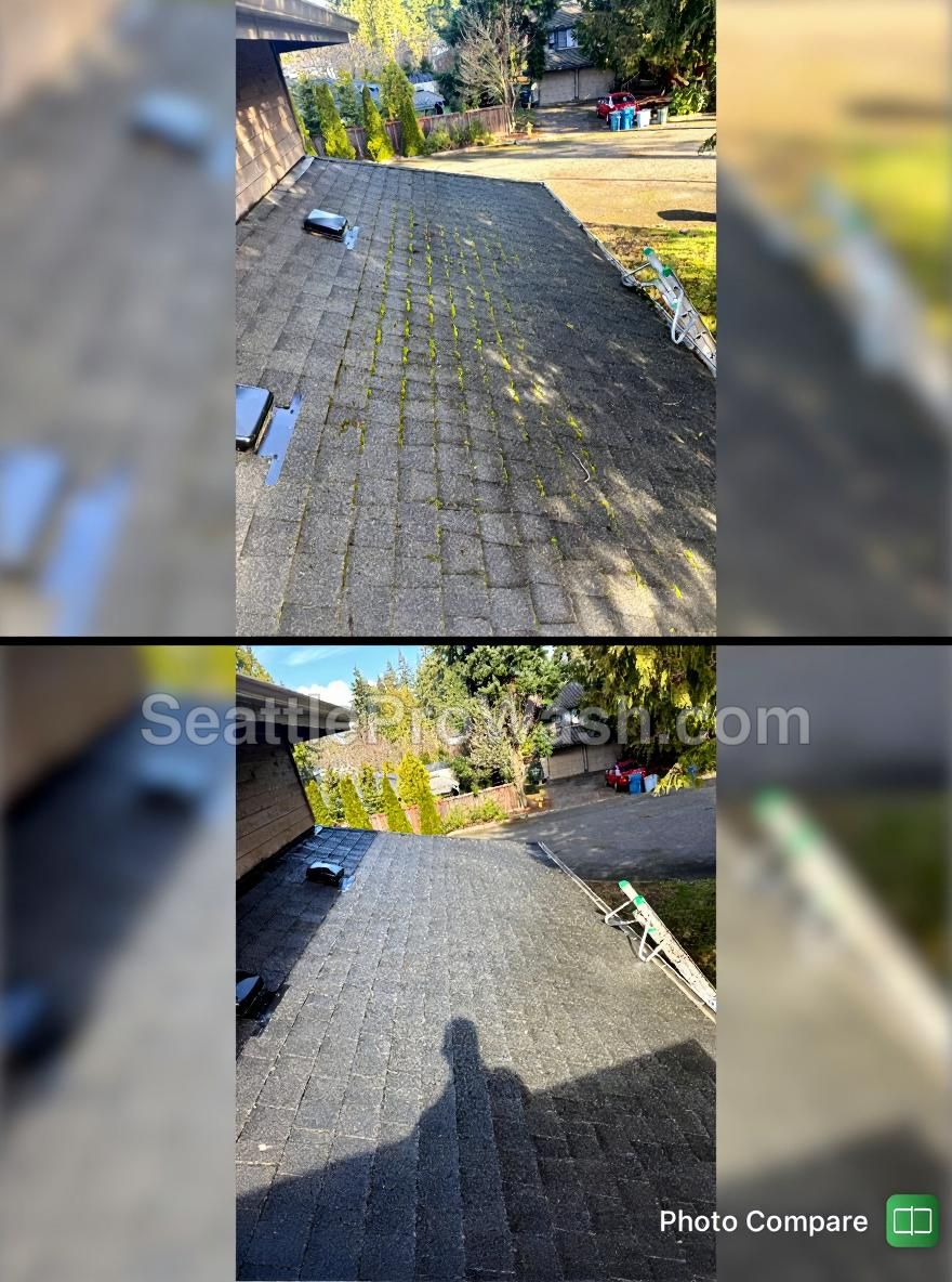 Green Lake, Seattle - 2-story asphalt, heavy moss + full gutter service