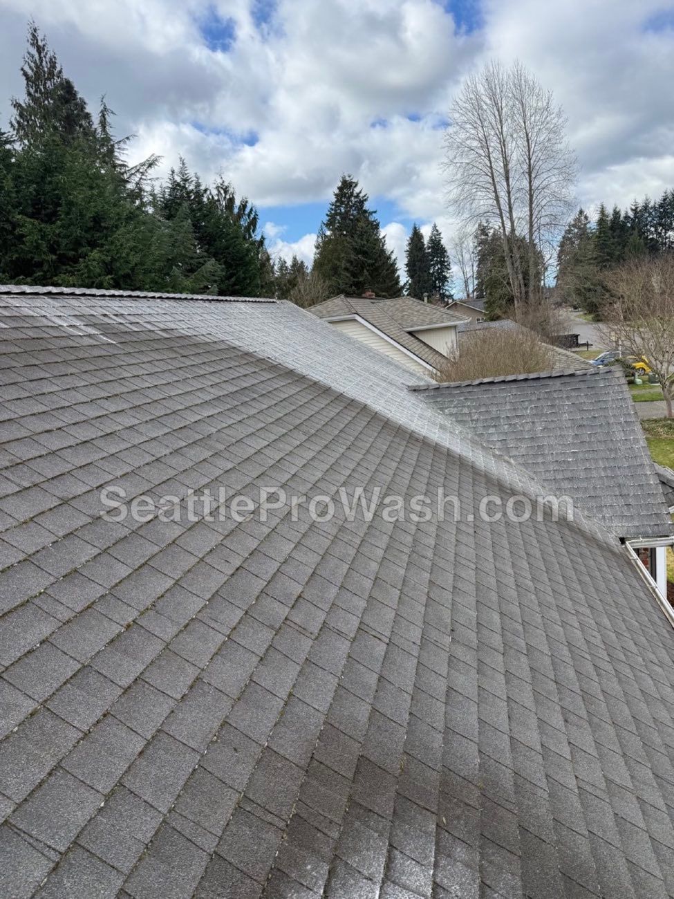 Professional moss treatment in progress on Seattle roof