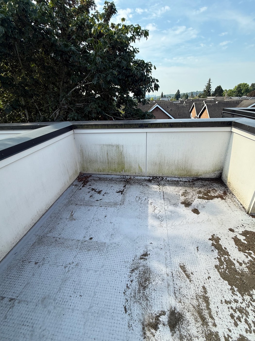 Seattle rooftop deck before soft washing - algae streaks on parapet walls and dirt buildup on the membrane