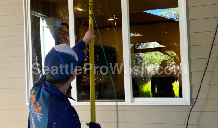 Seattle ProWash technician cleaning the outside of a window