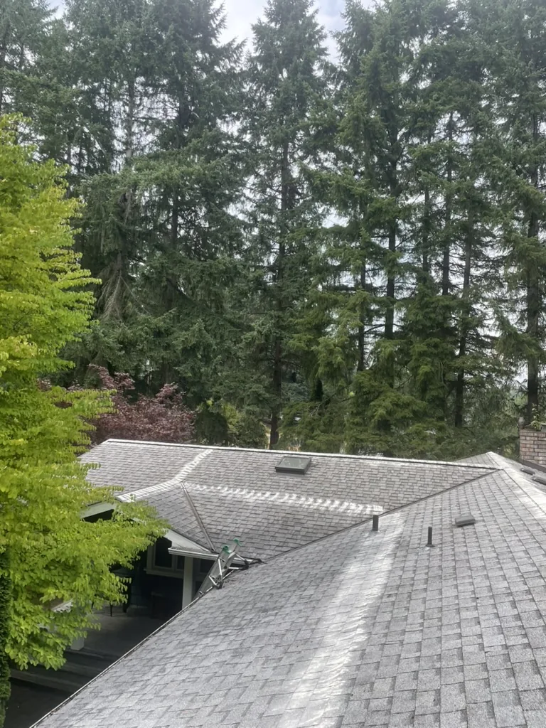 Clean, professionally maintained roof after expert treatment and moss removal