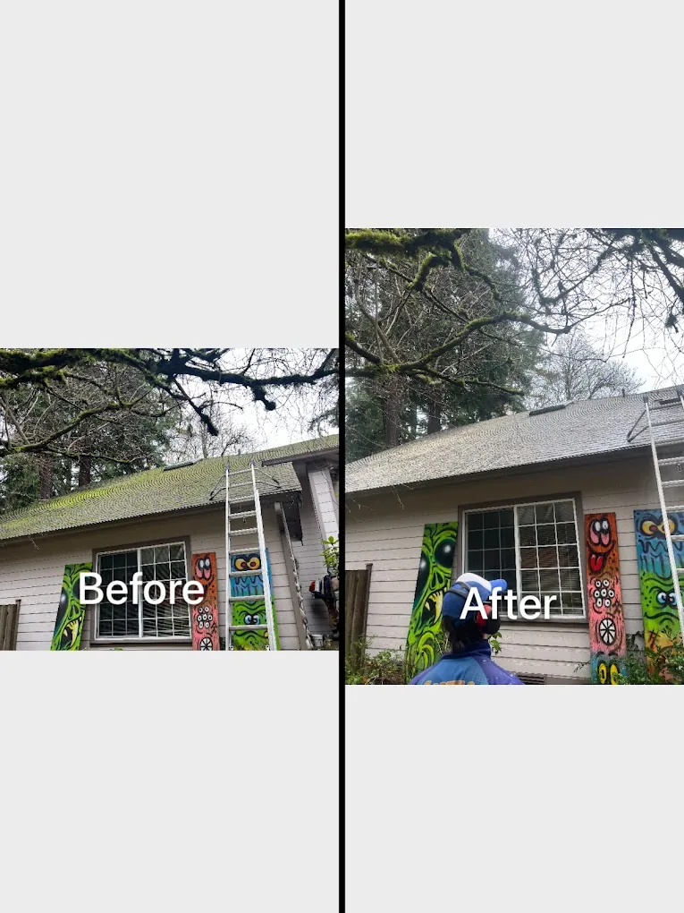 Asphalt roof moss removal before and after