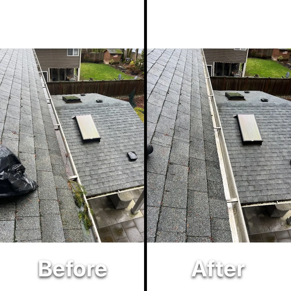 Gutter cleaning before and after with roof debris removal