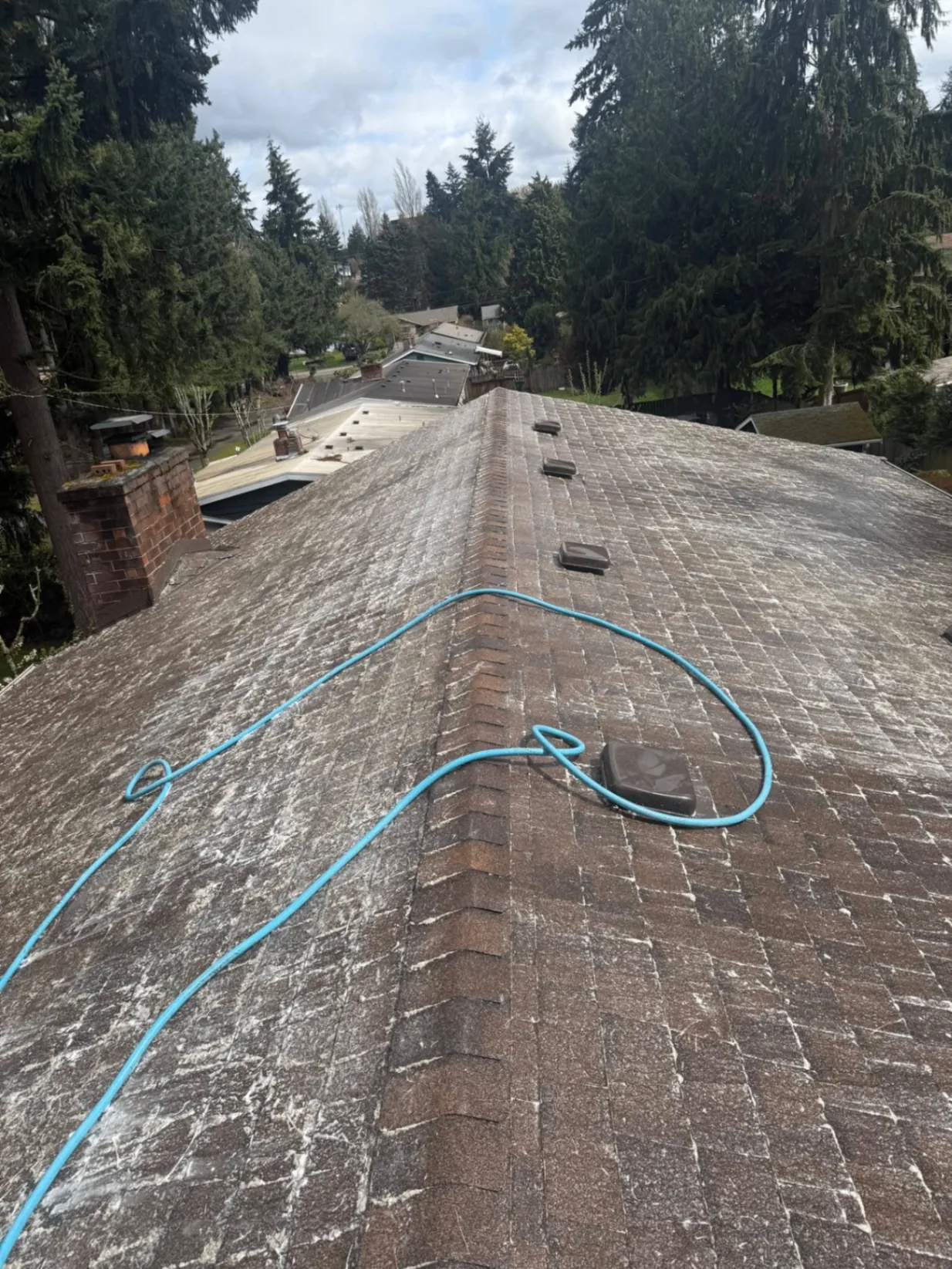 Seattle asphalt roof after professional moss removal and protection treatment - fully restored