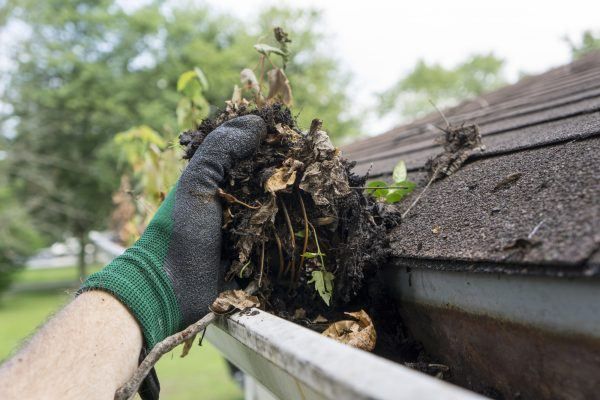 gutter cleaning service near me bothell wa 37
