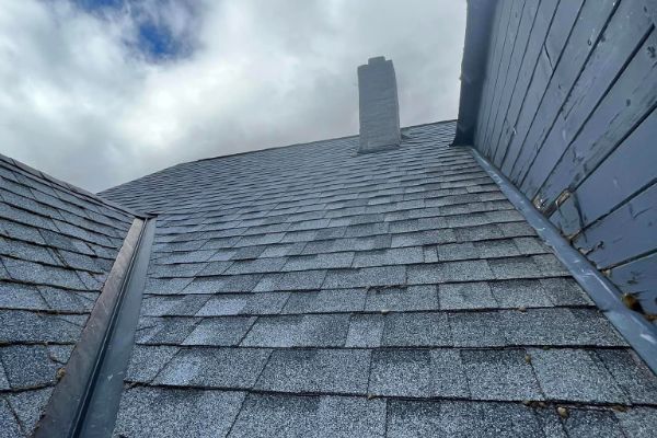 roof cleaning service near me bothell wa 29