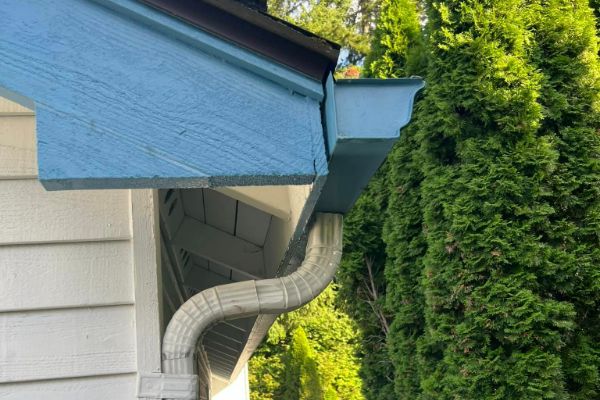 gutter cleaning service near me bothell wa 40