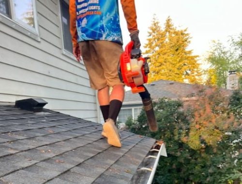 Gutter Cleaning company near me in Bothell WA