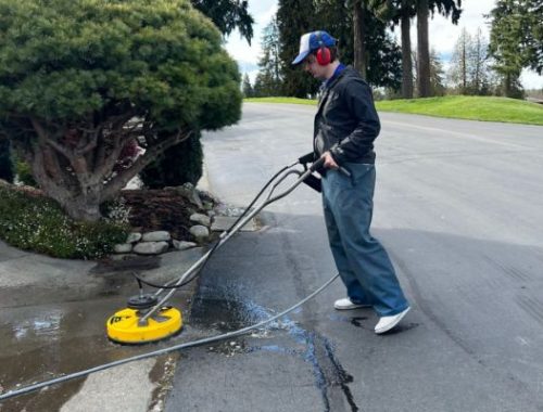 exterior cleaning in the greater seattle area 65